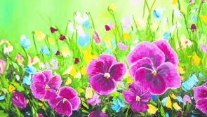 Spring Group Exhibition at Solas 