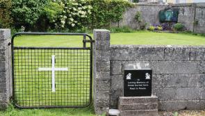 Leitrim TD wants redress for victims of Tuam horrors