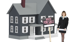 Leitrim properties  will be shown in New York