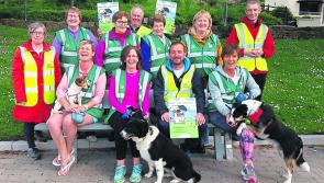 Tidy Towns judges expected in Leitrim this month