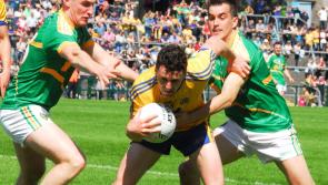We couldn't be a happier camp - Diarmuid Murtagh