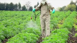Protecting drinking water from pesticides