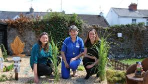 Award winning BLOOM garden donated to Children's Ward