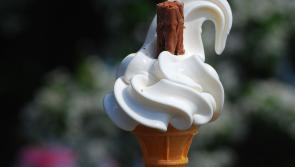 Ice cream van owner convicted over casual trading in Glencar