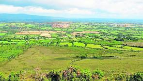 Calls for Council to adopt rural resettlement scheme