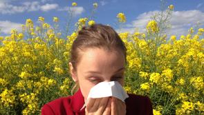 One in five Irish people suffer from hay fever