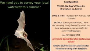 Free event to focus on local bats in Dromahair