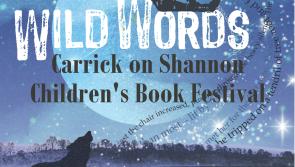 Wild Words Festival in Carrick-on-Shannon