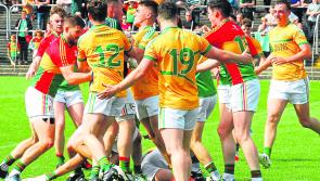 Leitrim and Carlow County Boards fined &euro;1,000