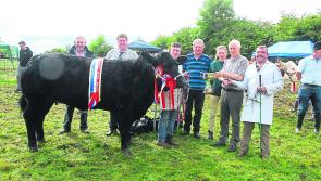 Cloone Agricultural Show takes place on August 7