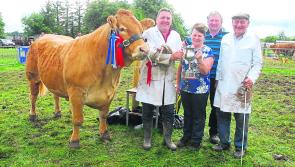 GALLERY: All the excitement of Cloone Agricultural Show