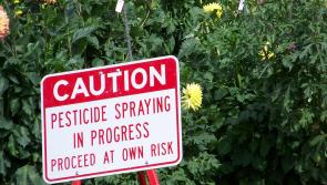 Leitrim County Councillors back ban on use of glyphosates