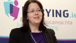 Leitrim the only county with zero registration of lobbyists
