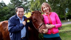 GALLERY: RTÉ all set to give it welly at Ploughing 2017 