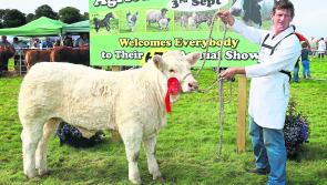 Significant funding allocated to  agricultural shows