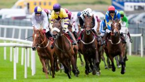 Roscommon Races final meeting