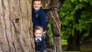 Primary Schools in Leitrim encouraged to plant an Oak Tree