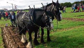 The Leitrim Observer is going to the 2017 Ploughing Championships