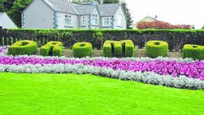 Dromod is Leitrim's tidiest town for 38th successive year
