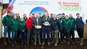 Macra na Feirme's 'Operation Transformation' for Young Beef Farmers gets underway