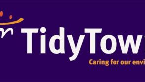 Leitrim County Council Tidy Towns allocations announced
