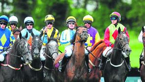 Rain fails to dampen the enthusiasm at Sligo racecourse