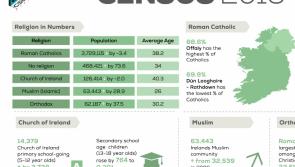 Latest census results reveals 20% decrease in number of Travellers living in Leitrim