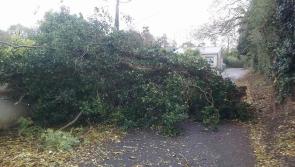 Leitrim County Council confirm additional roads impassable due to Ophelia