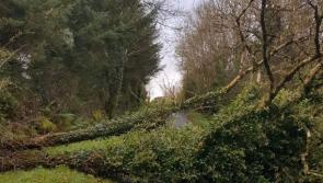 Ophelia: Motorists advised to exercise extreme caution