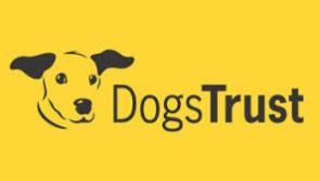 Leitrim libraries to host free dog safety workshops 