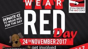 Calling on Leitrim people to wear red this November 