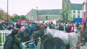 Mohill Horse Fair cancelled 