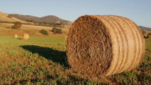 Agricultural land prices return to growth 