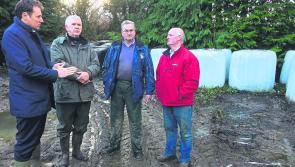 Minister has to step up on fodder crisis