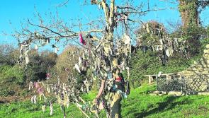 Lecture on the customs, cures and curses of Holy Wells