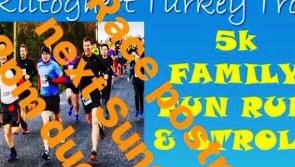 No turkeys trotting in Kiltoghert 