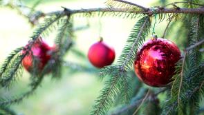 Leitrim Charity aims to reach €1 million in funding this Christmas