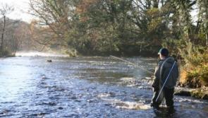 Leitrim, Roscommon, Cavan and Longford workshops for tourism providers