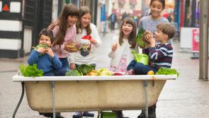 Four Leitrim projects awarded funding under Energia Get Ireland Growing award