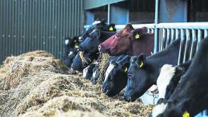 Late ACRES payments "disgraceful"