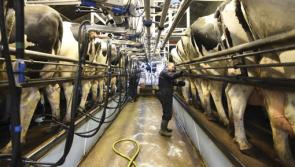 Milk collection routes must be prioritised during clearing of roads today