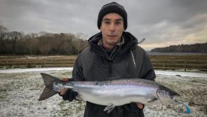 The Last Cast:  Start of March heralds new trout season