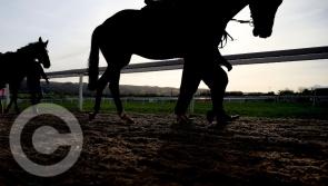 Cheltenham Festival treat for racing fans on TV3