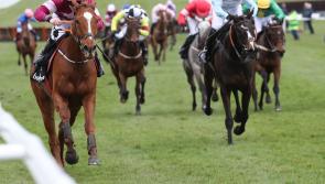 Irish Trainers Dominate at 2018 Cheltenham Festival