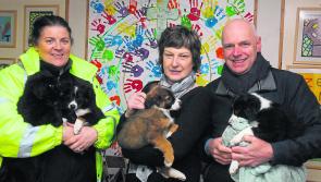 Gallery | ‘The Big Scoop’ campaign launched to tackle dog fouling