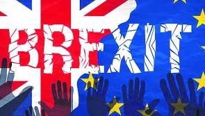 European parliament votes to protect border funding in event of no-deal Brexit