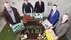 Huge opportunity for County Leitrim food and drink producers