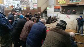 The Matchmaker in Glenfarne