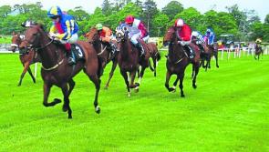 Sligo races under starter's orders  on Sunday