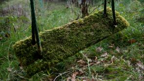 A Taste of McGahern's Leitrim in Ballinamore